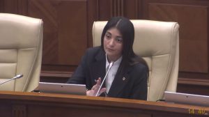 Olga Ursu, în Parlament: Cum vor afecta noile prevederi locuitorii din stânga Nistrului?
