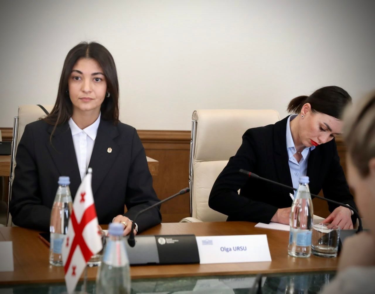 Deputata Olga Ursu, la Tbilisi: „Integrarea europeană trebuie să aibă la bază interesul național”