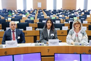 Депутат Ольга Урсу принимает участие в заседании парламентского пленума Энергетического сообщества