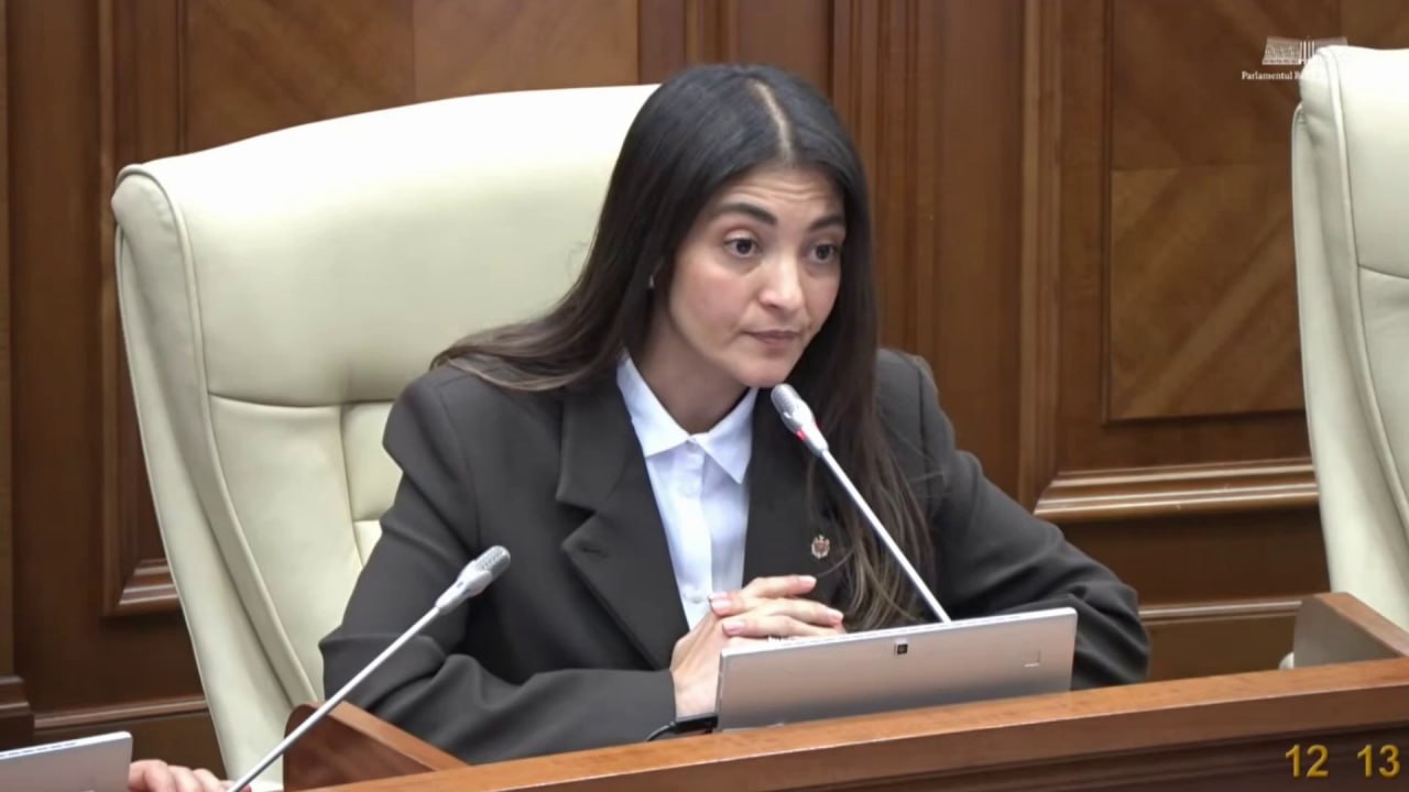 Deputata MAN, Olga Ursu avertizează asupra unor posibile contradicții în noua lege privind BNM